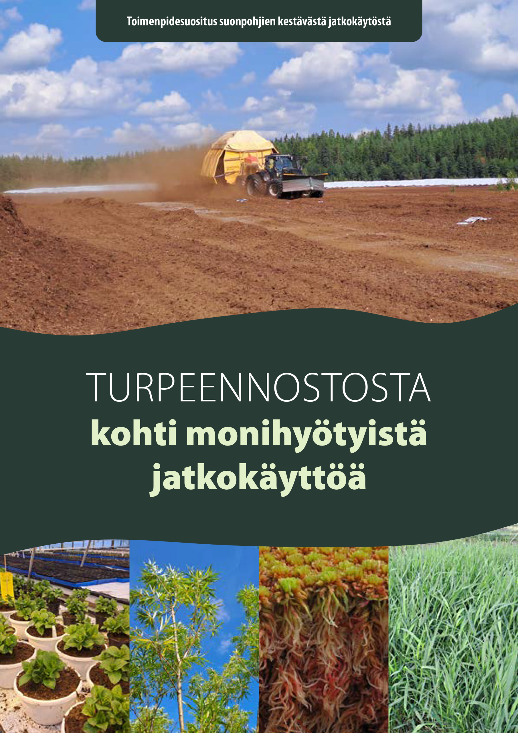 Turpeennostosta kohti monihyötyistä jatkokäyttöä -toimenpidesuosituksen kansikuva