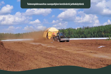 Artikkeli