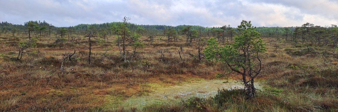 Valkmusan kansallispuisto